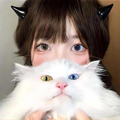 轰炸达尔文：尴尬的真相